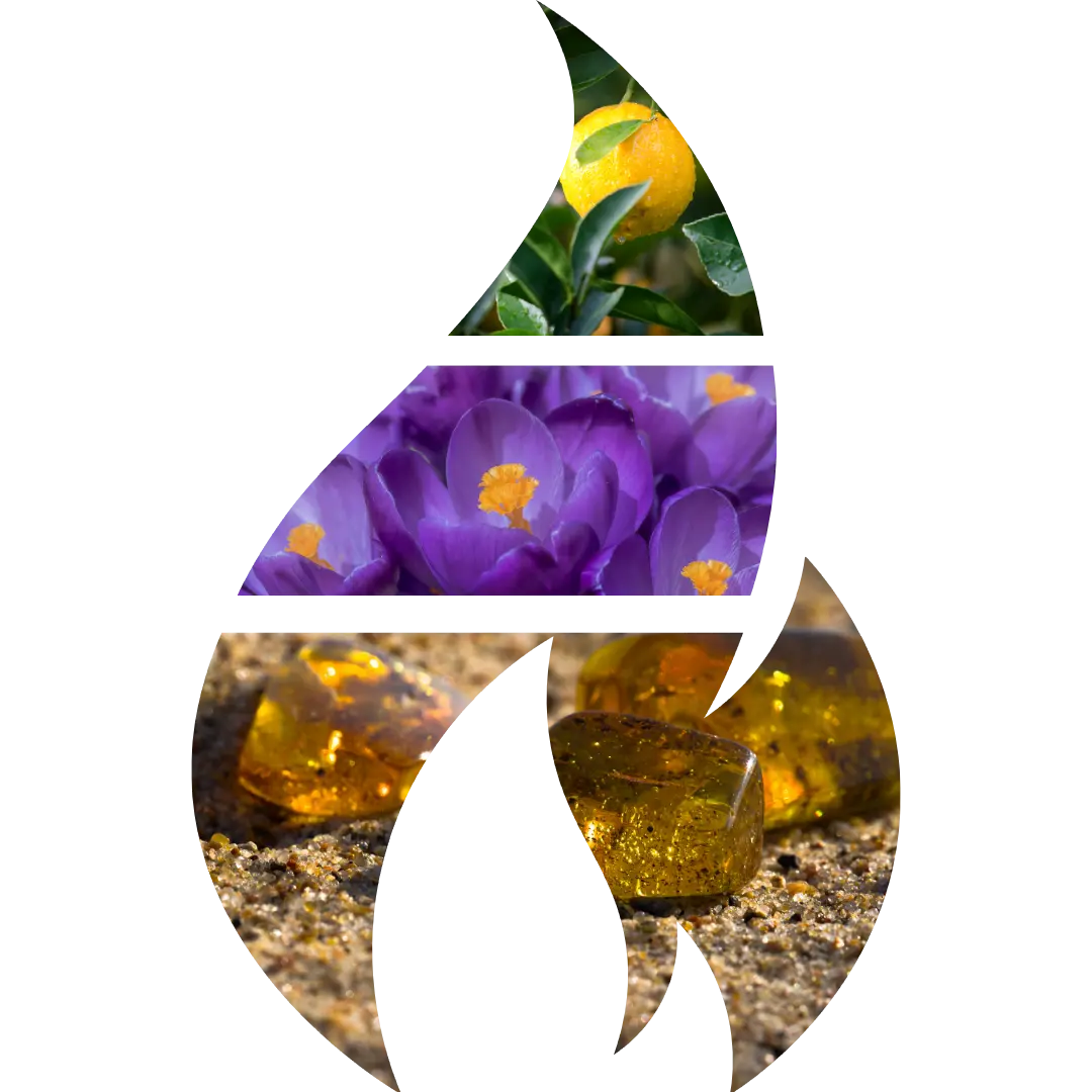 Fresh Meat in the Open Space